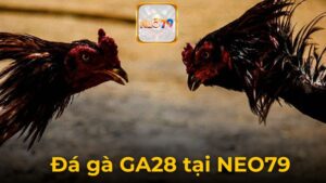 Luật Chơi Và Kèo Cược Đá Gà GA28 Tại NEO79 Cực Nảy Lửa