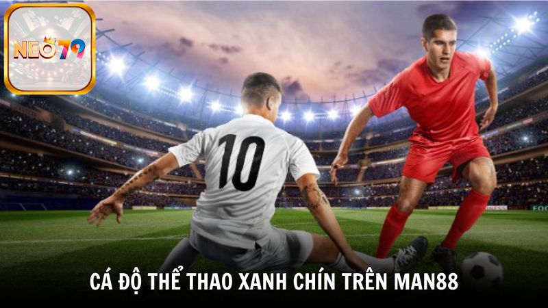 Cá độ thể thao xanh chín trên Man88