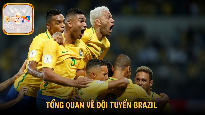 Tổng quan về đội tuyển Brazil cơ sở giúp soi kèo chuẩn