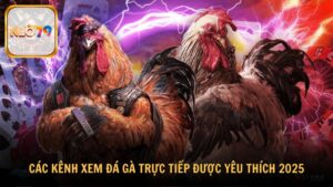 Top các kênh xem đá gà trực tiếp được yêu thích 2025