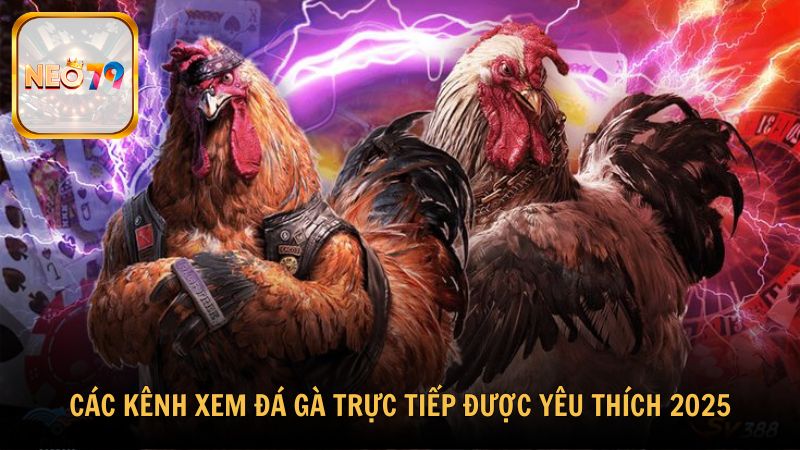 Top các kênh xem đá gà trực tiếp được yêu thích 2025
