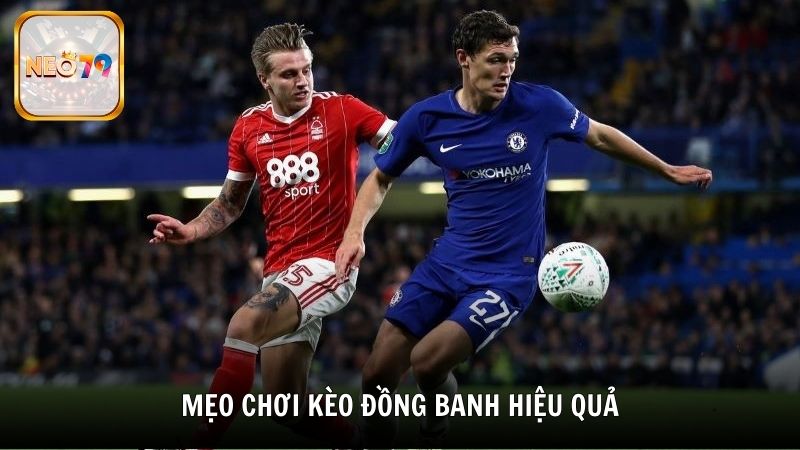 Mẹo chơi cược đồng banh hiệu quả từ cao thủ Neo79